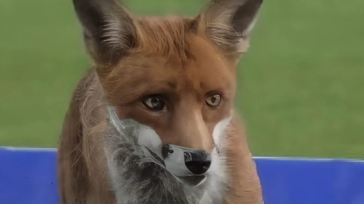 Fox